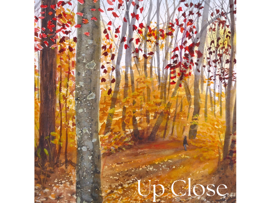 Autumn Stroll Fine Art Print